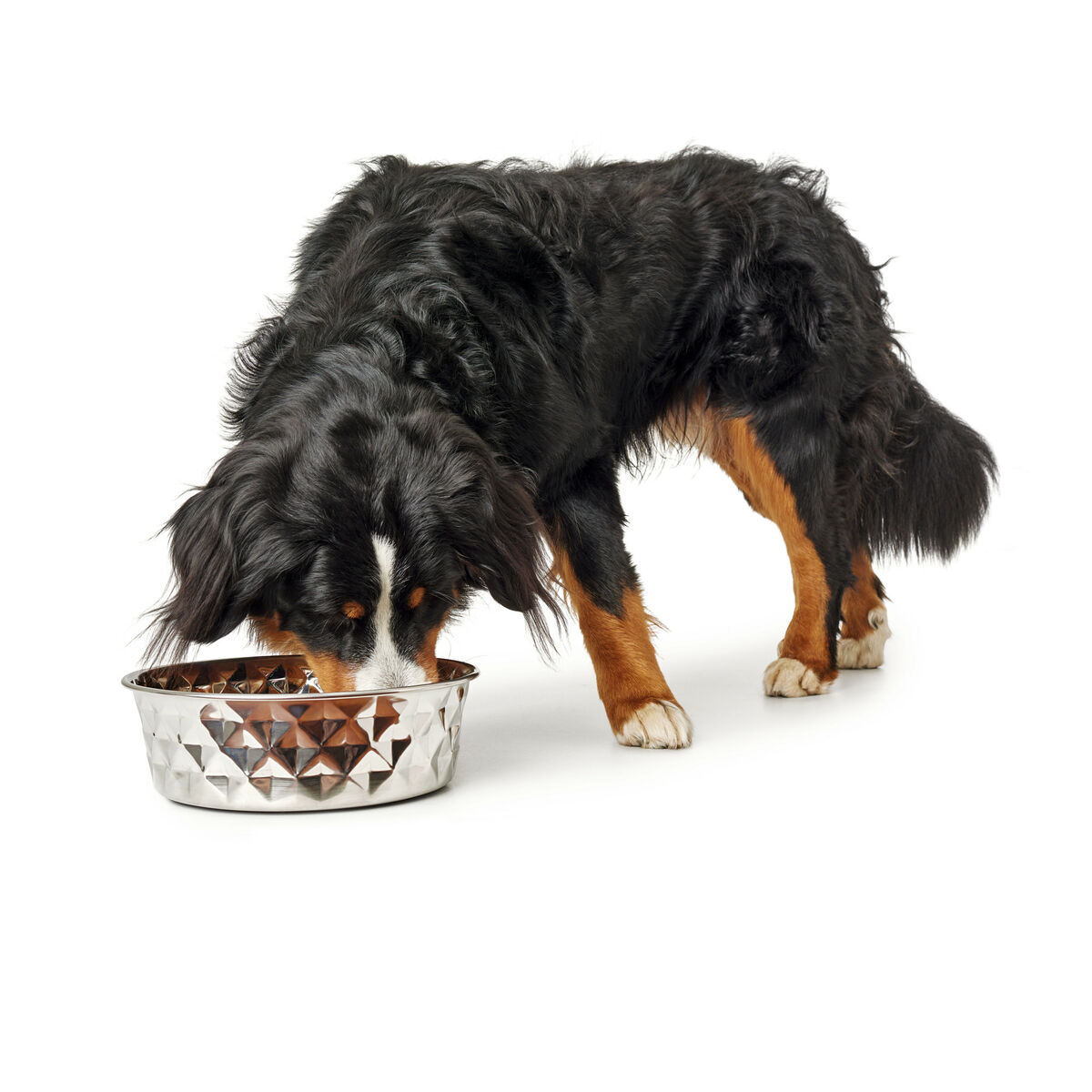 Hundmatare Hunter Silikon Rostfritt stål 1,75 L - 3