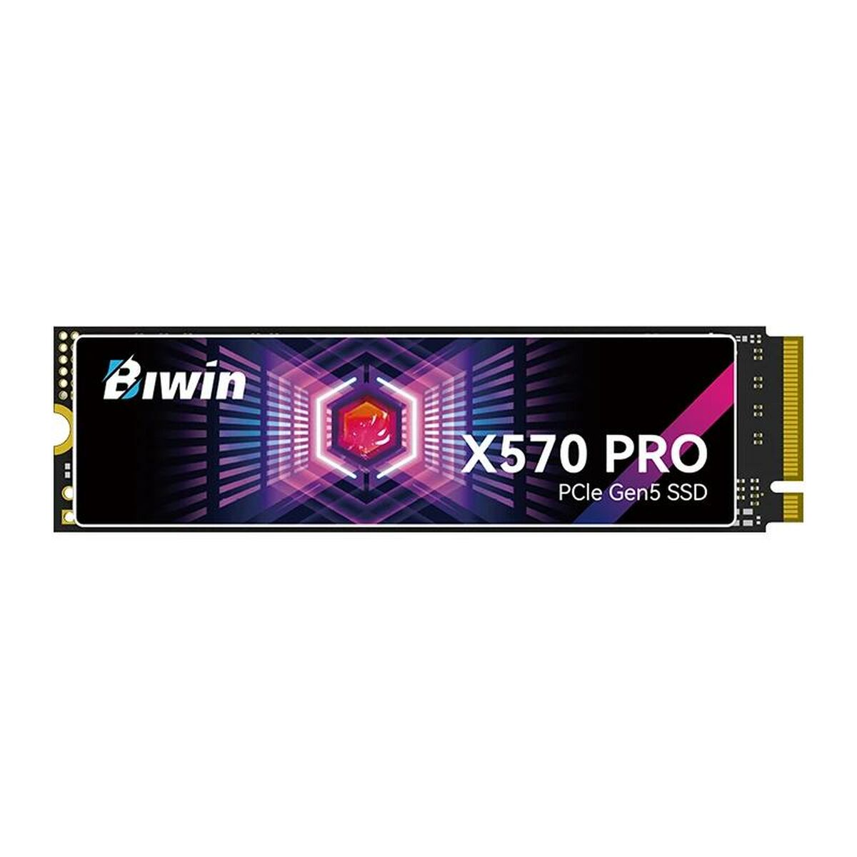 Hårddisk Biwin X570 Pro 1 TB SSD - 2