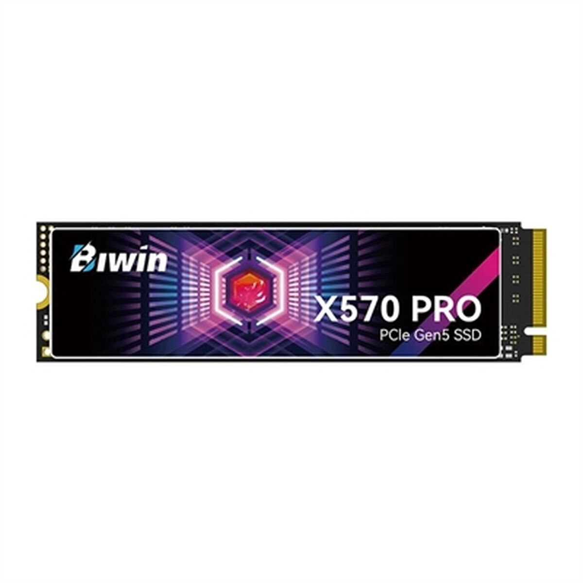 Hårddisk Biwin X570 Pro 1 TB SSD