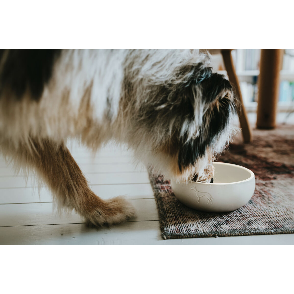 Hundmatare Hunter Vit Keramik Silikon 1,5 L Modern - 4