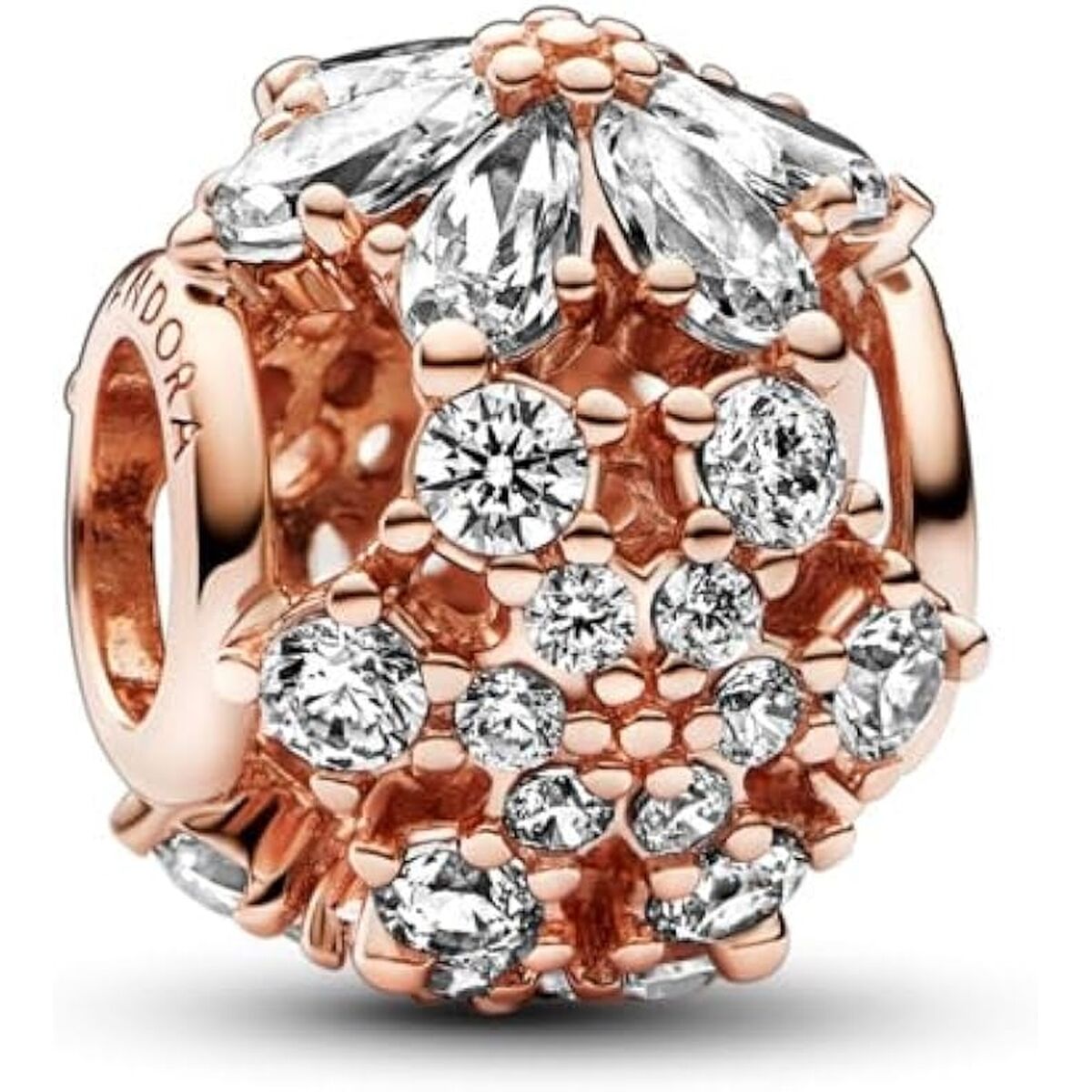 Dam: Berlockarmband Pandora SPARKLING HERBARIUM CLUSTER ROUND