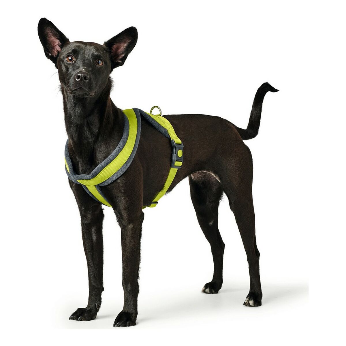 Hundsele Hunter London Comfort XS-S 39-47 cm Lime - 4