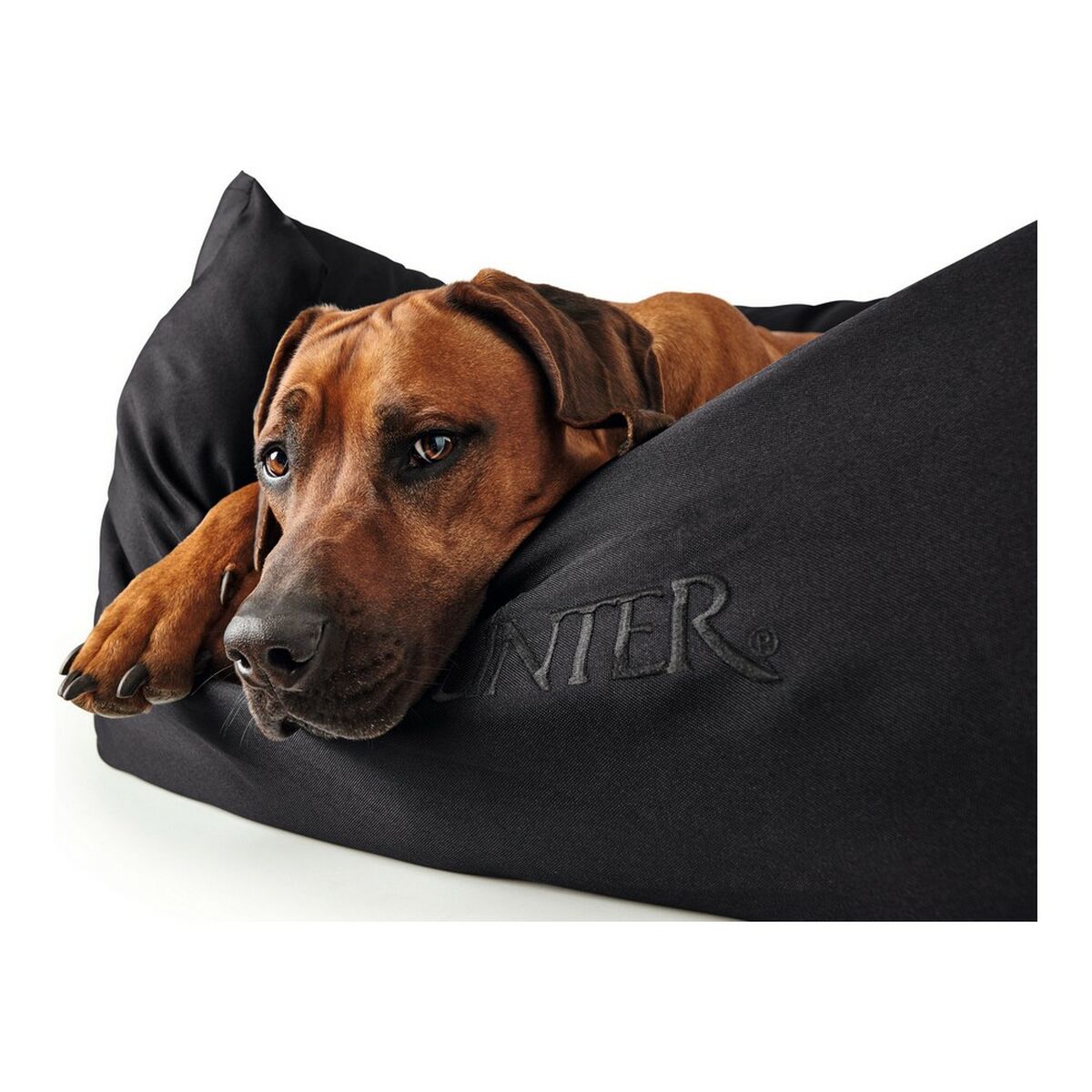 Dog Sofa Hunter Gent Svart 80x60 cm - 15