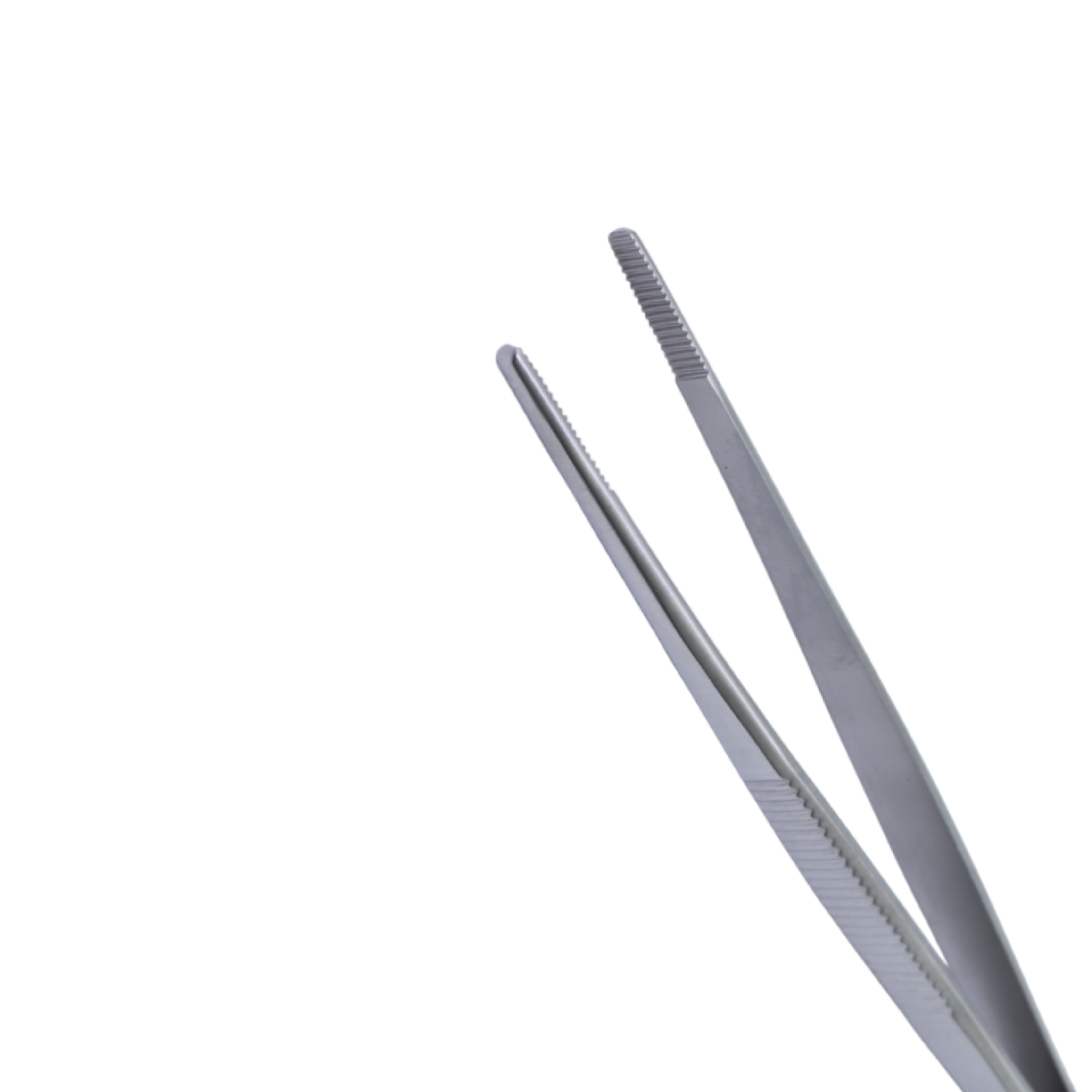 Anatomical Dressing Forceps, Standard Pattern, 13cm - 2