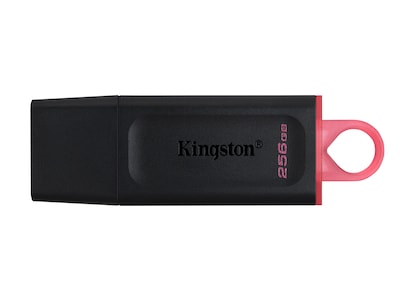 Kingston 256GB DataTraveler Exodia