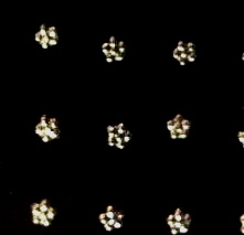 BCR rings & rings CBR & Nose Jewelry silver 925 - 5