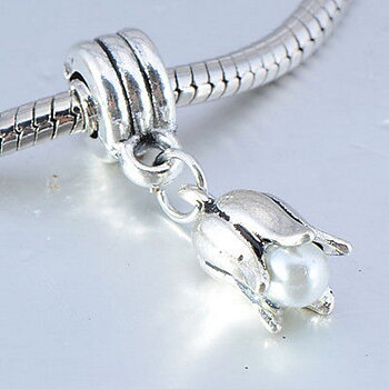 Europeiska Berlock Armband silver pläterade