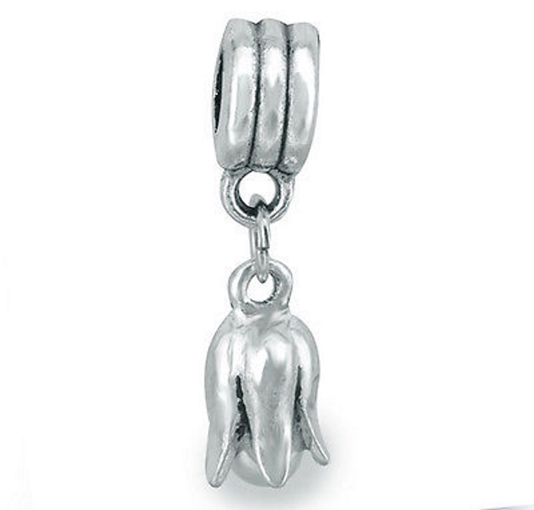 Europeiska Berlock Armband silver pläterade