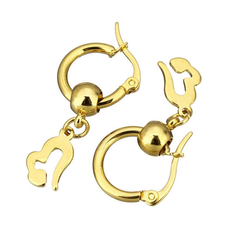 Rostfritt stål Örhängen  - 3