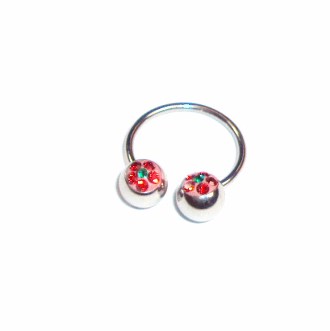 BCR rings & rings CBR & Nose Jewelry - 2