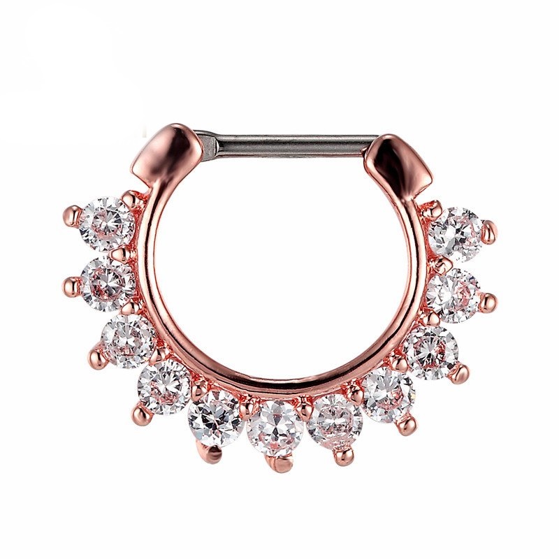 CZ Näsringar Septum, Titan - 2