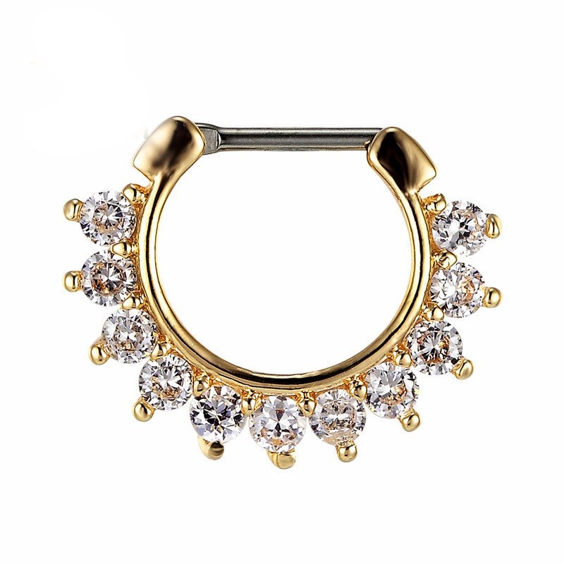 CZ Näsringar Septum, Titan - 4