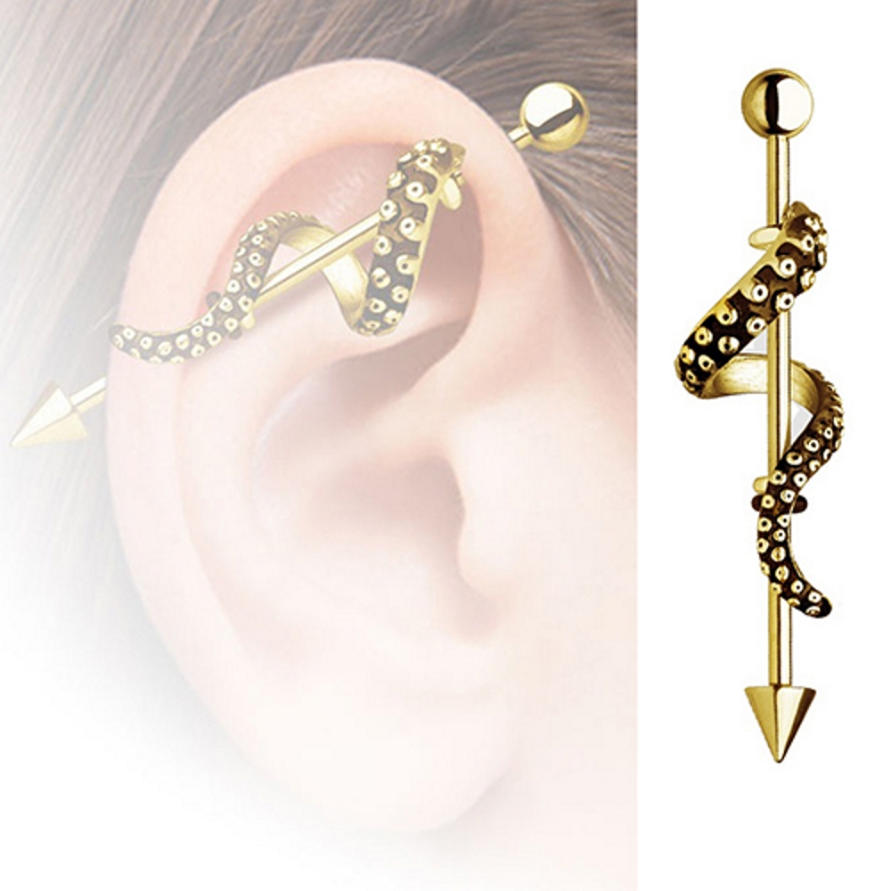 Barbeller & Stavar Öronpiercingar - 2