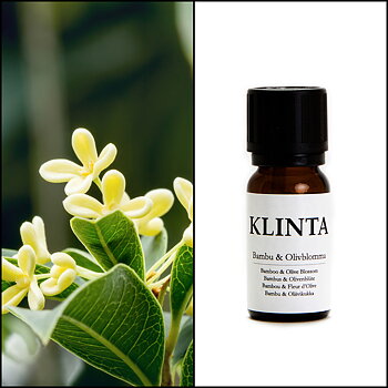 Duftolie Klinta Bambus & Olivenblomst 10ml