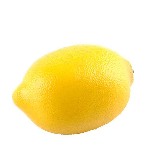 Citron Mr Plant