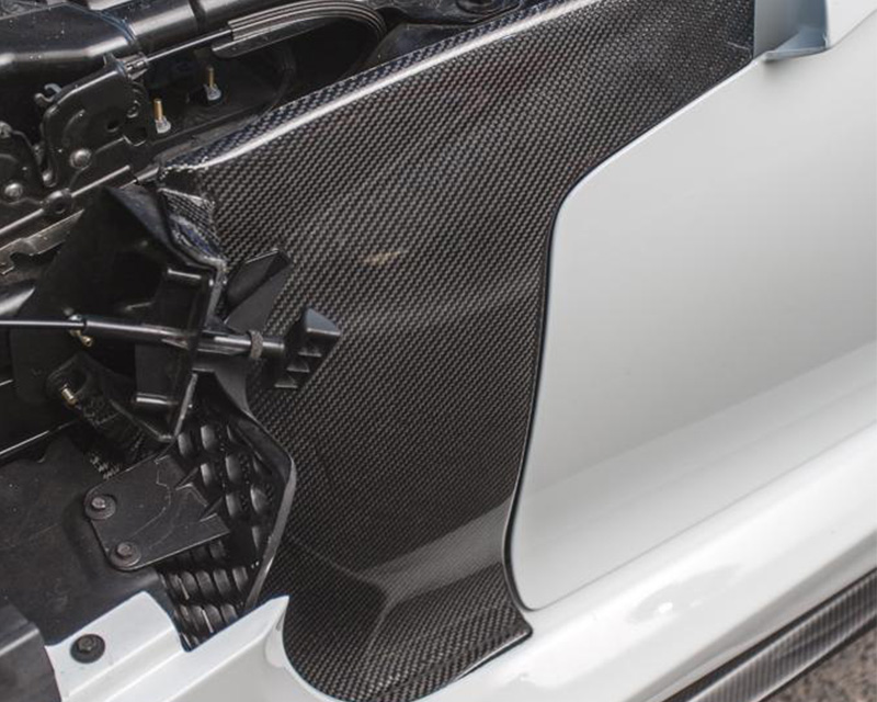 AGENCY POWER CARBON FIBER SIDE FENDER INSERTS SRT VIPER 13+ - 2