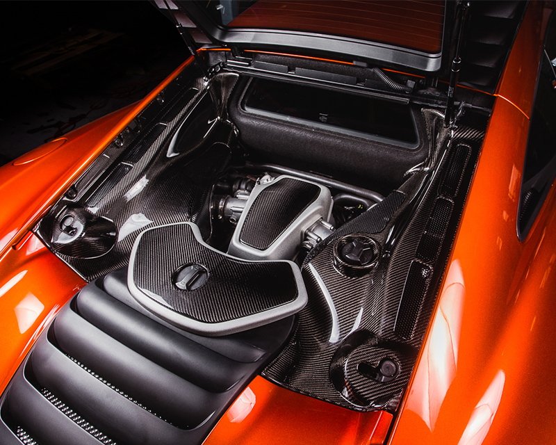 AGENCY POWER CARBON FIBER 2-PIECE ENGINE BAY PANELS SET MCLAREN MP4-12C 12-14 - 4