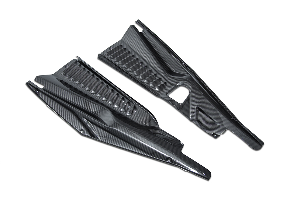 AGENCY POWER CARBON FIBER ENGINE PANELS FERRARI 458 10-14