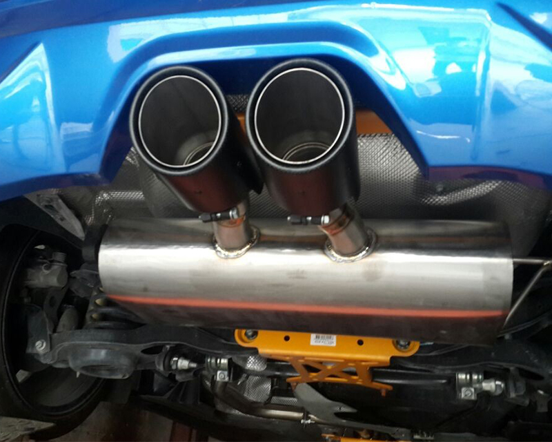 AGENCY POWER TITANIUM CATBACK EXHAUST W/CARBON TIPS FORD FOCUS ST 2013+