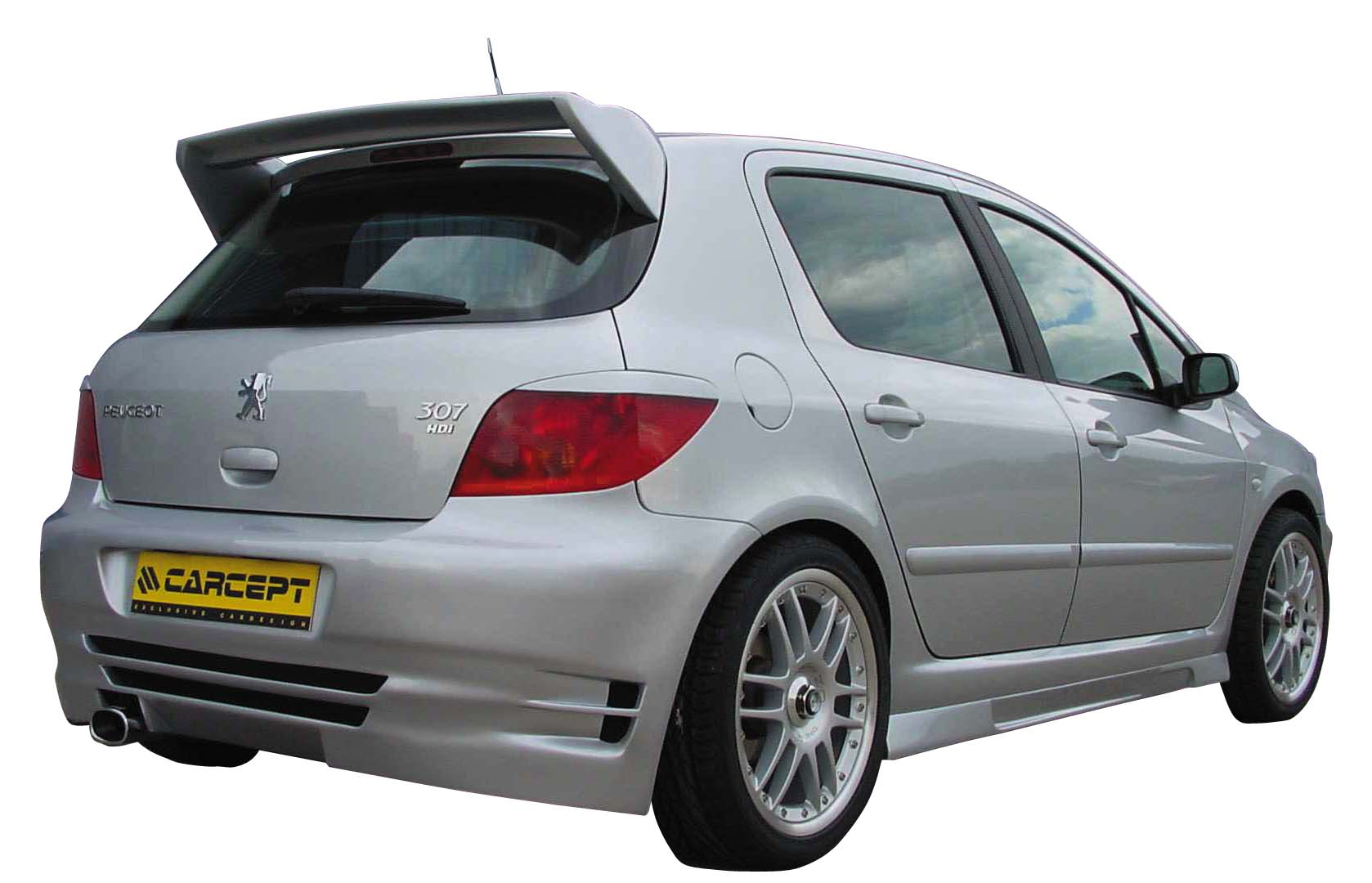 PEUGEOT 307 WING ROOF SPOILER [CARCEPT]
