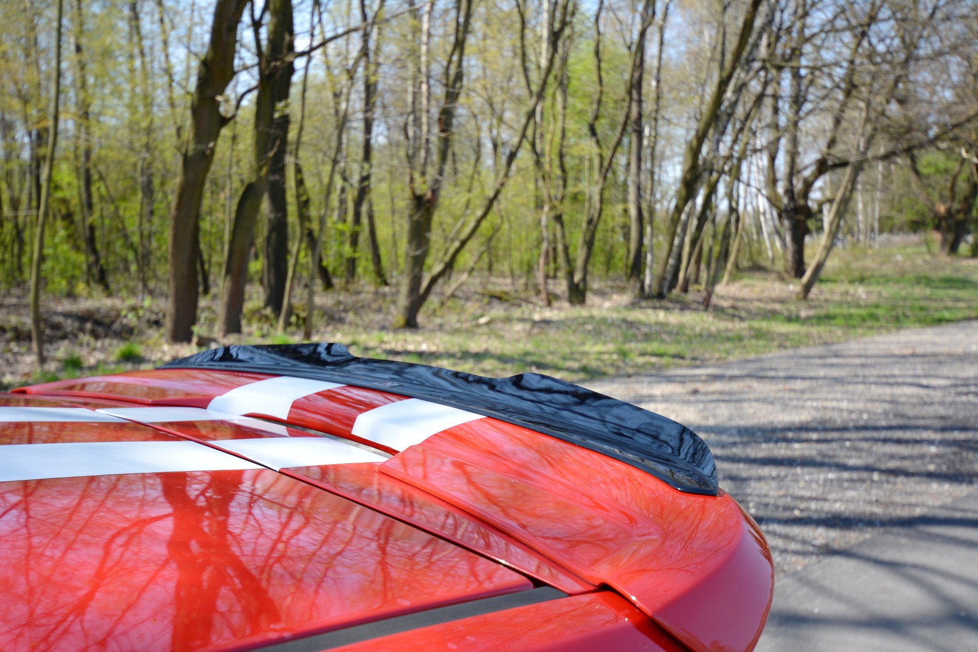 Spoiler Extension V.1 Ford Fiesta MK6 ST (2004-2008) - 4