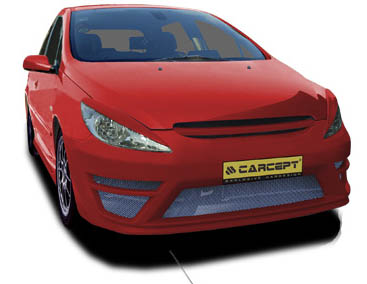 PEUGEOT 307 FRONT BIG FIBERGLASS EYEBROWS [CARCEPT]