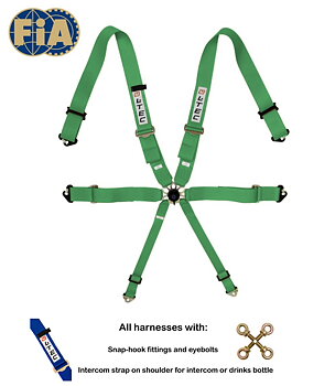 LTEC 6-POINT FIA SEATBELT MAGNUM FULL 3 INCH GREEN