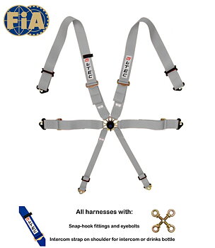 LTEC 6-POINT FIA SEATBELT MAGNUM FULL 3 INCH GREY