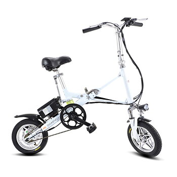 BP KOPPY 12"