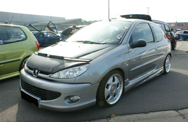 PEUGEOT 206 99-05 SKAI CARBRA/STONEGUARD