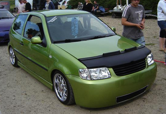 VW POLO 6N2 99-02 SKAI CARBRA/STONEGUARD