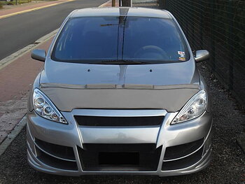PEUGEOT 307 01-05 SKAI CARBRA/STONEGUARD