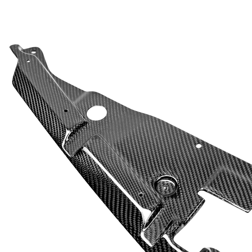 CHEVROLET CAMARO 10-13 SEIBON CARBON COOLING PLATE - 2