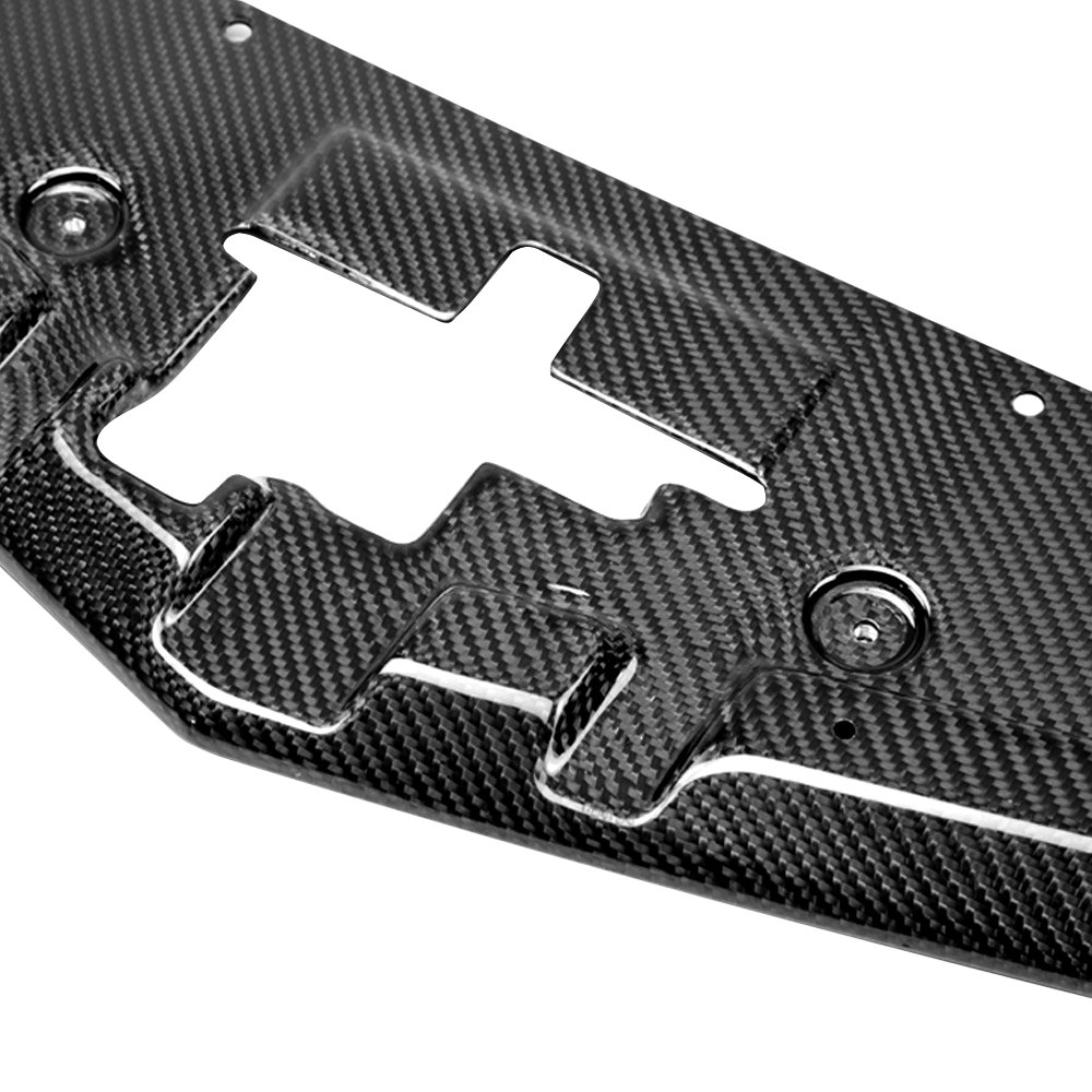 CHEVROLET CAMARO 10-13 SEIBON CARBON COOLING PLATE - 3
