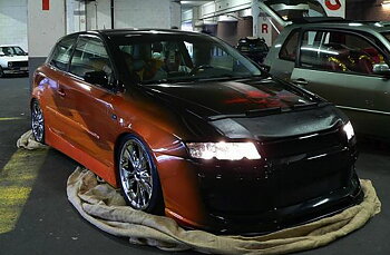 FIAT STILO 03-06 SKAI CARBRA/STONEGUARD