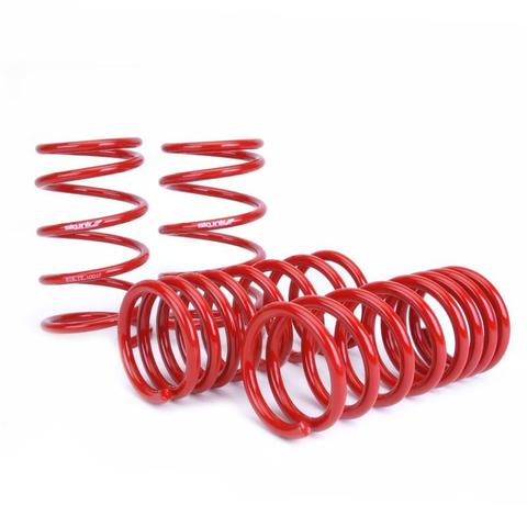 HONDA CIVIC 01-05 3D LOWERING SPRINGS 5/6CM SKUNK2