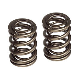HONDA H22A/F20B TUNER VALVE SPRING SET DUAL SKUNK2