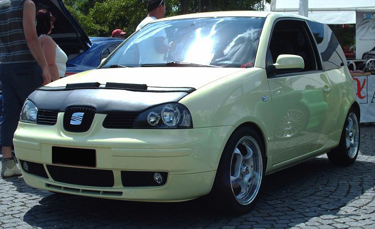 SEAT AROSA FACELIFT 00-04 SKAI CARBRA/STONEGUARD