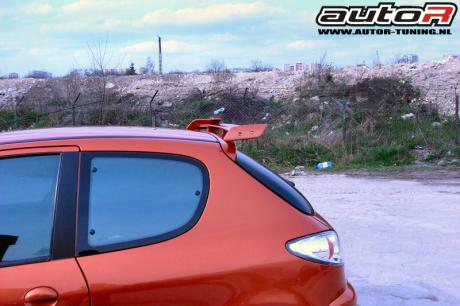 PEUGEOT 206 98-03 3D SPOILER MINIWING [AUTOR]