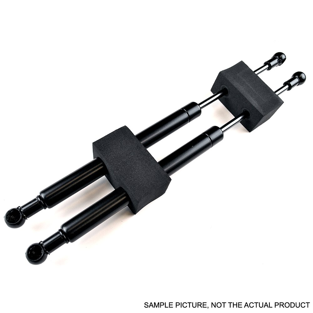 HONDA S2000 04-09 BOLT-ON HOOD DAMPERS [SIX] - 2