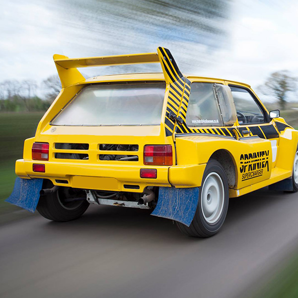 BLUE 4MM RALLY MUD FLAPS (BY PAIR) - 3