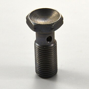 BANJO BOLT 10X100 LONG (25MM UNDER HEAD)
