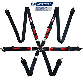 HARNESSES FIA RRS R6 LIGHT EVO