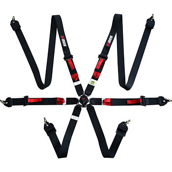 HARNESSES FIA RRS R6 LIGHT EVO