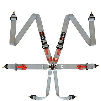 HARNESS FIA RRS R6 - GREY - DEC 2029