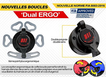 HARNESS FIA RRS R6 - GREY - DEC 2029