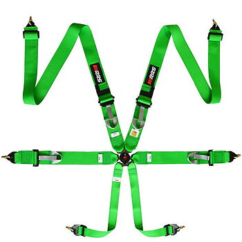 HARNESS FIA RRS R6 - GREEN - DEC 29