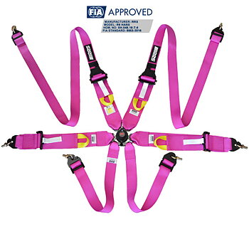 HARNESS FIA RRS R6 - PINK