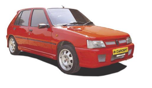 PEUGEOT 205 CARCEPT GRILL