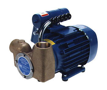 SEPTIKTANKTÖMNINGSPUMP 230V 1 1/2" BSP